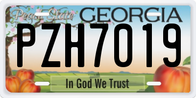 GA license plate PZH7019