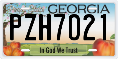 GA license plate PZH7021