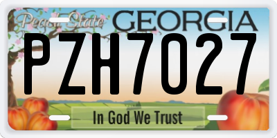GA license plate PZH7027