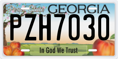 GA license plate PZH7030