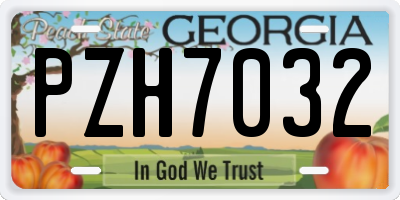 GA license plate PZH7032
