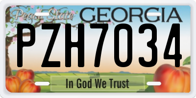 GA license plate PZH7034