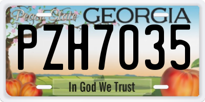 GA license plate PZH7035
