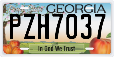 GA license plate PZH7037