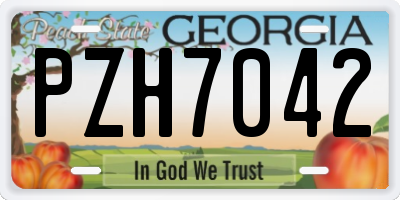 GA license plate PZH7042
