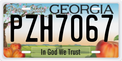 GA license plate PZH7067