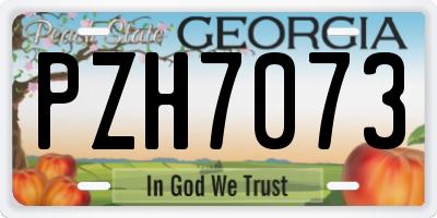 GA license plate PZH7073