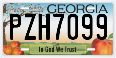 GA license plate PZH7099