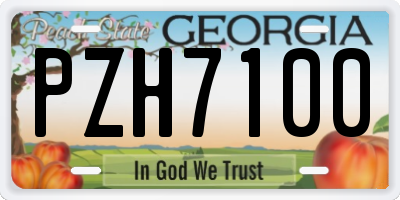 GA license plate PZH7100