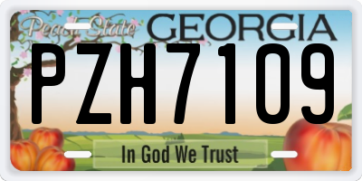 GA license plate PZH7109