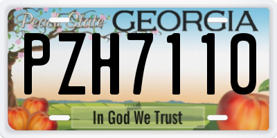 GA license plate PZH7110