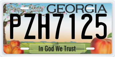 GA license plate PZH7125