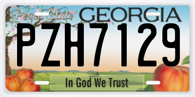 GA license plate PZH7129