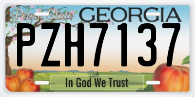 GA license plate PZH7137