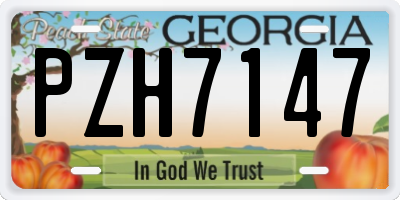 GA license plate PZH7147