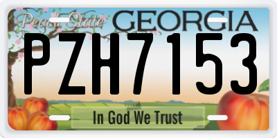 GA license plate PZH7153