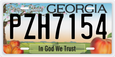 GA license plate PZH7154