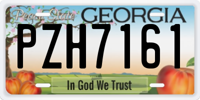 GA license plate PZH7161