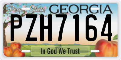 GA license plate PZH7164