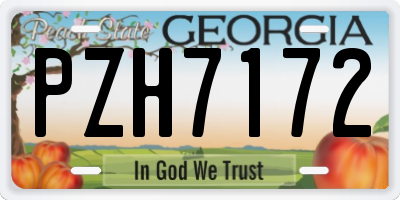 GA license plate PZH7172
