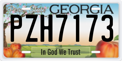 GA license plate PZH7173