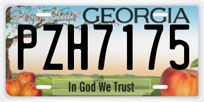 GA license plate PZH7175