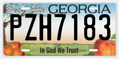 GA license plate PZH7183