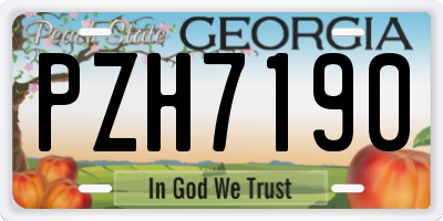 GA license plate PZH7190