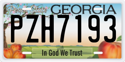 GA license plate PZH7193