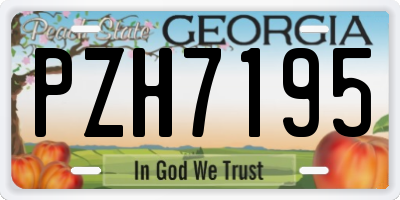 GA license plate PZH7195