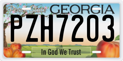 GA license plate PZH7203