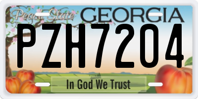 GA license plate PZH7204