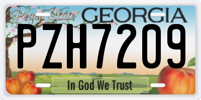 GA license plate PZH7209