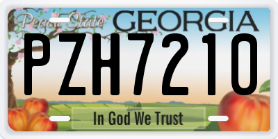 GA license plate PZH7210