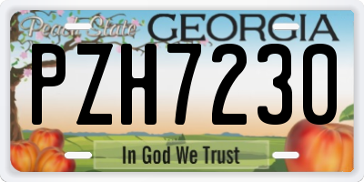 GA license plate PZH7230