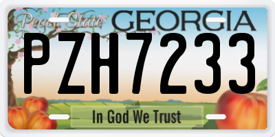 GA license plate PZH7233