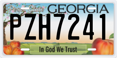 GA license plate PZH7241