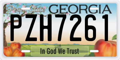 GA license plate PZH7261