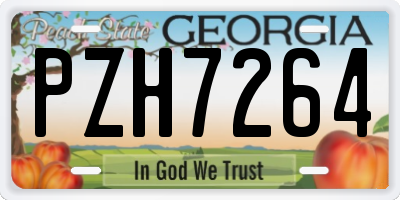 GA license plate PZH7264