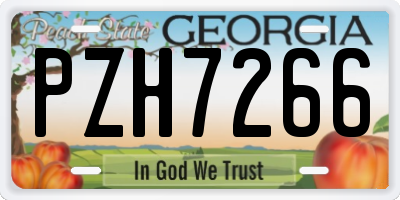GA license plate PZH7266
