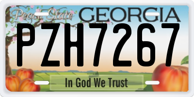GA license plate PZH7267