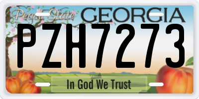 GA license plate PZH7273