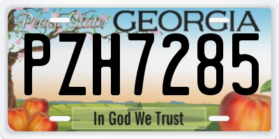 GA license plate PZH7285