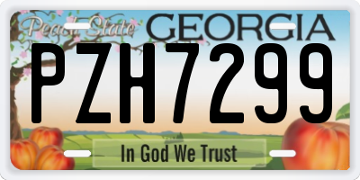 GA license plate PZH7299