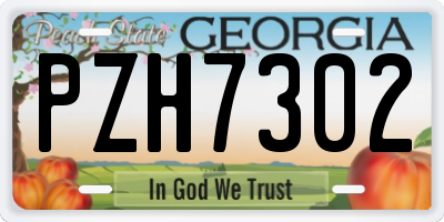 GA license plate PZH7302