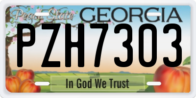 GA license plate PZH7303
