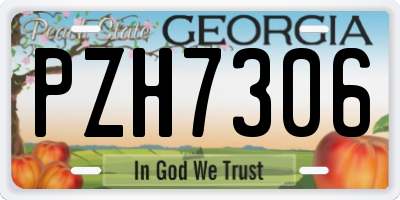GA license plate PZH7306