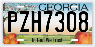 GA license plate PZH7308
