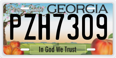 GA license plate PZH7309