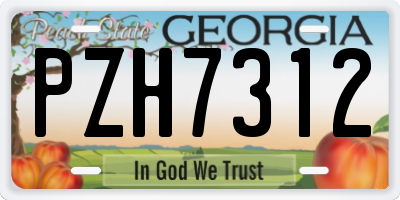 GA license plate PZH7312